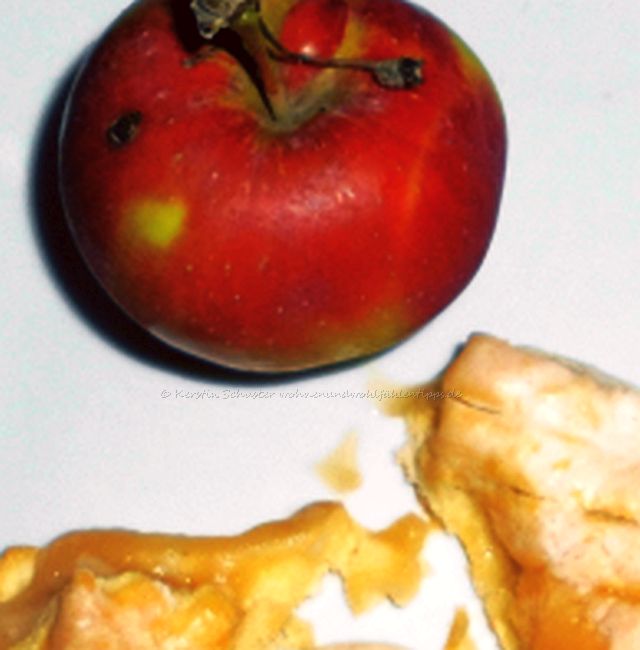 Apfel mit Decke Omas Apfelkuchenrezept 